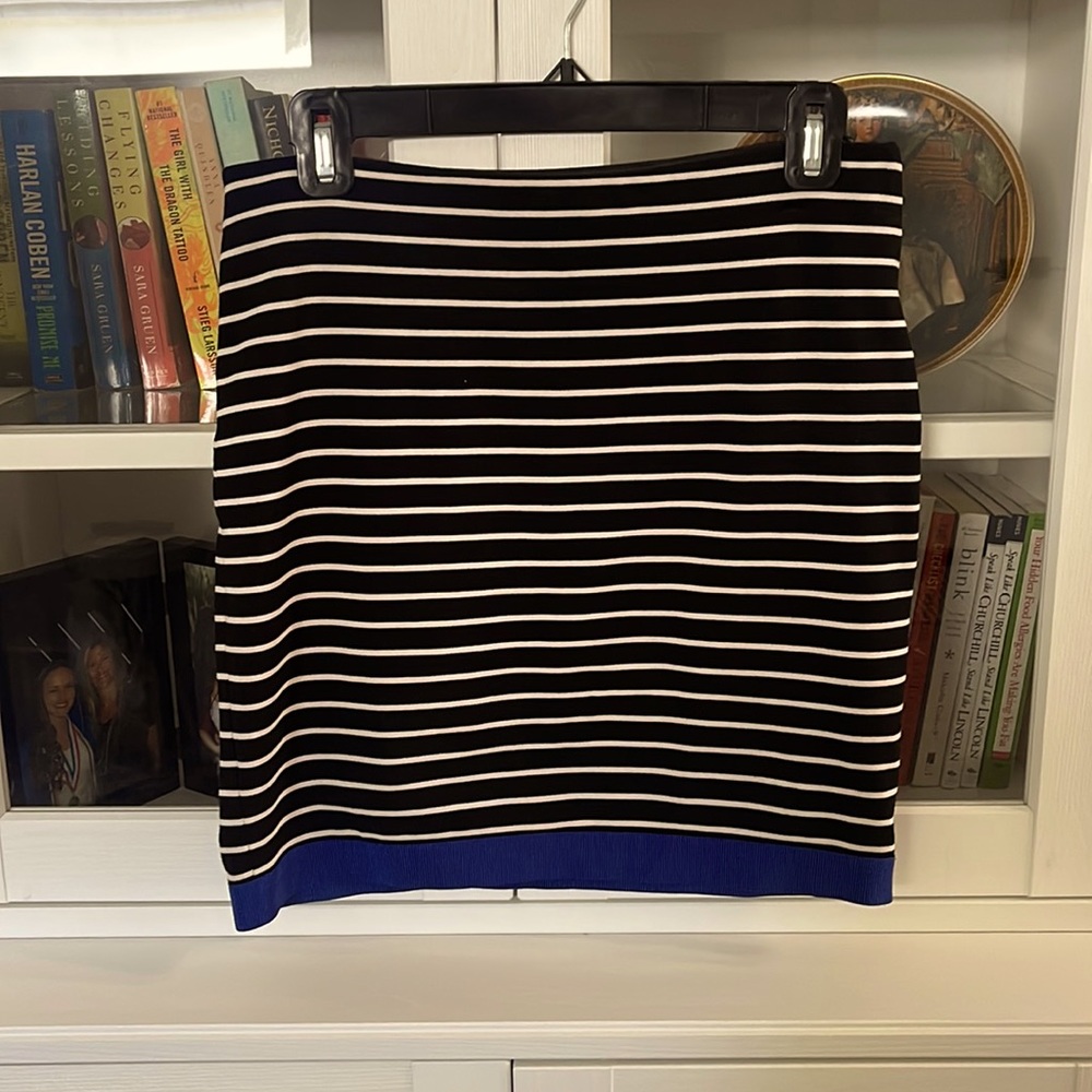 Ann Taylor Skirt